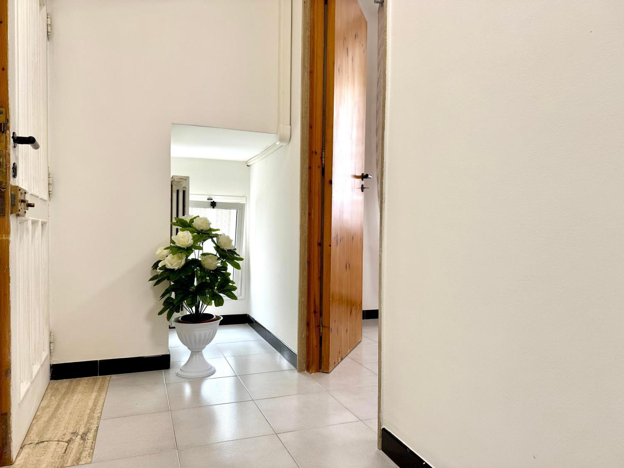 Appartamento Casa Fiordaliso Monopoli Esterno foto